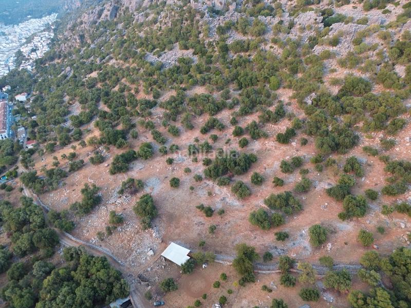 Foto 78fedc34-6eeb-49db-994c-39f8fd018df1. Landgut in Ubrique