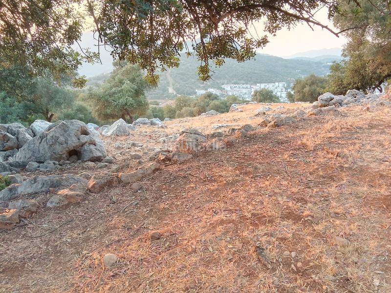 Foto 807fb966-230e-43f7-a913-906e0d50d389. Landgut in Ubrique