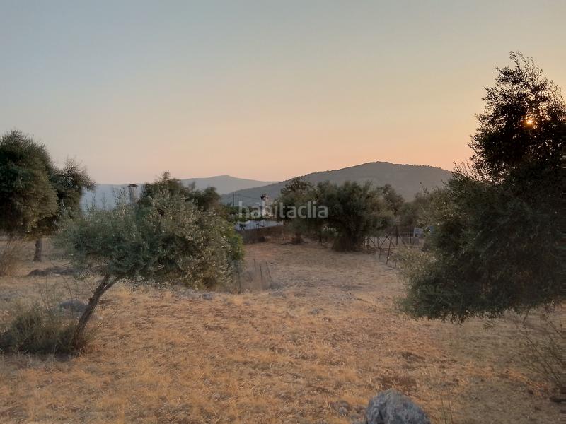 Foto 824f34c3-6f61-4cf2-9fb6-c84cdd5a2186. Landgut in Ubrique