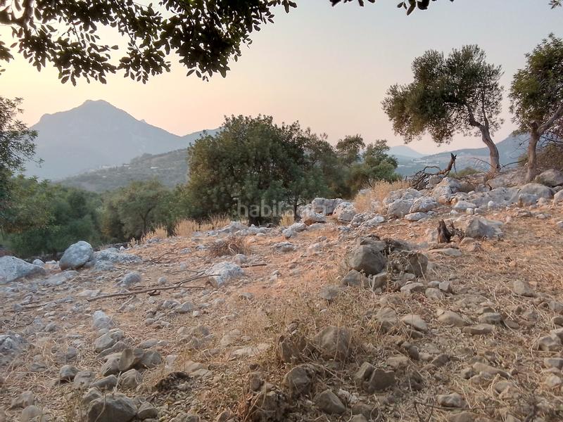 Foto a0a41cb9-96cc-4fc9-8aa7-404e6905704b. Landgut in Ubrique