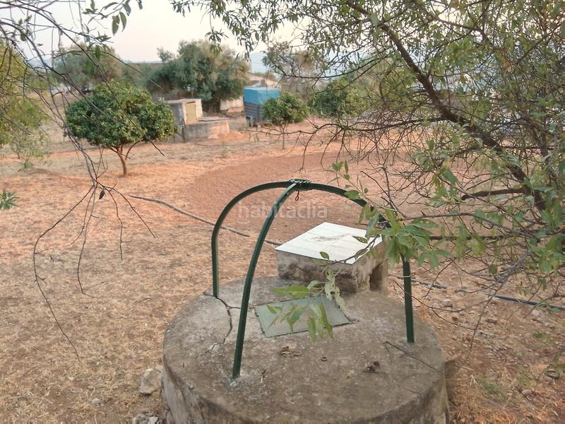 Foto a4c518a8-cd70-47c6-a041-0bed54a8e942. Landgut in Ubrique