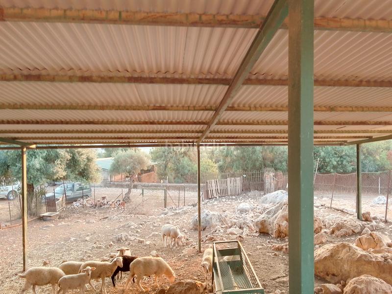 Foto a926b375-41dc-40b2-86e9-30026b9f3313. Landgut in Ubrique