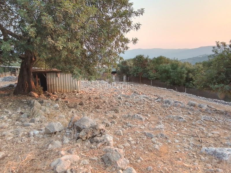 Foto b6d7781f-3418-4456-a472-42393f54846e. Landgut in Ubrique