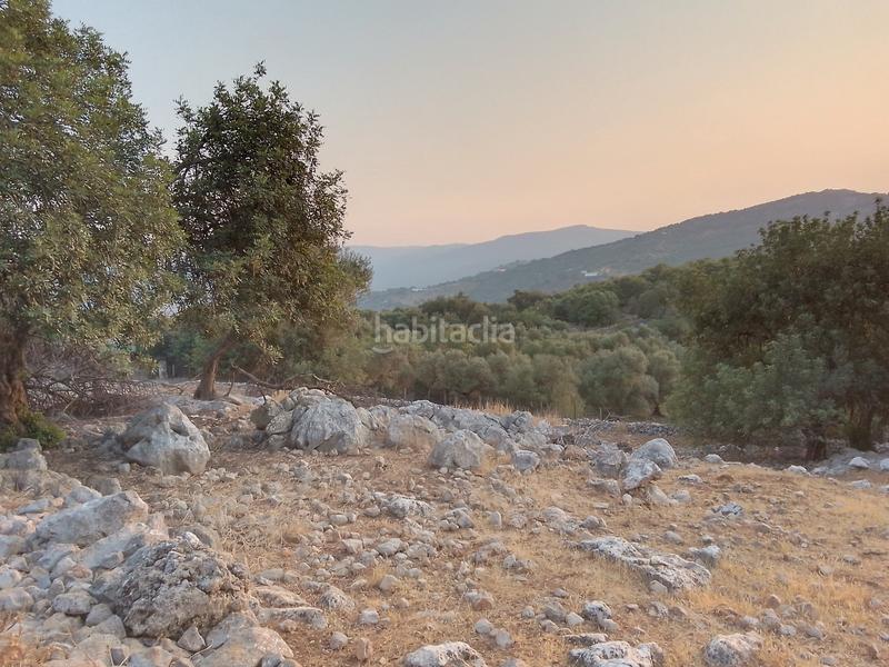 Foto b6e53e05-68c5-42cc-aca7-07c74726c55e. Landgut in Ubrique