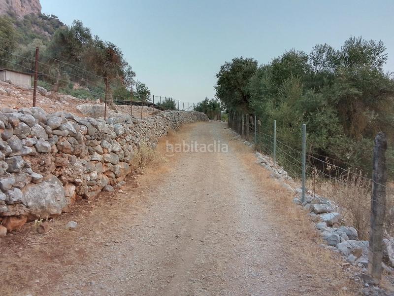 Foto b8d97024-6592-49a8-81ce-d62f5f96e101. Landgut in Ubrique