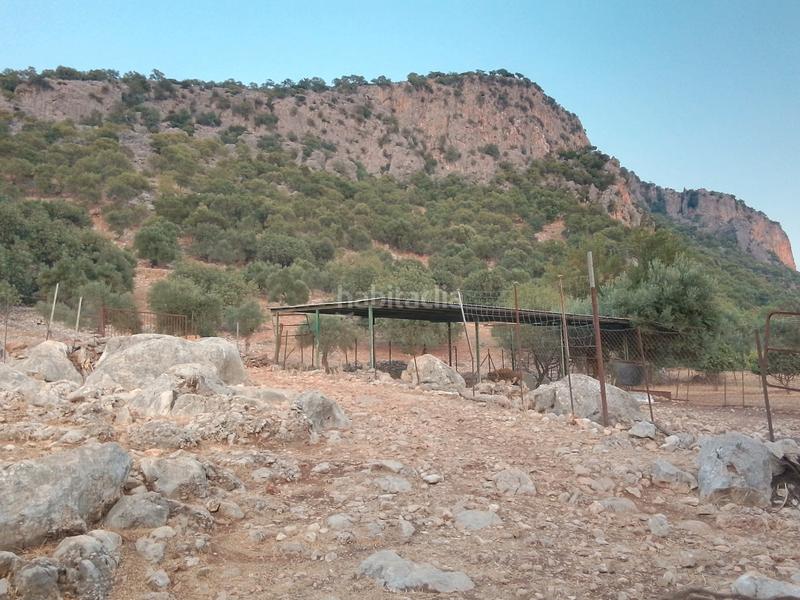 Foto ba7415fb-3f4c-43a7-ad9a-69cce157f4ab. Landgut in Ubrique