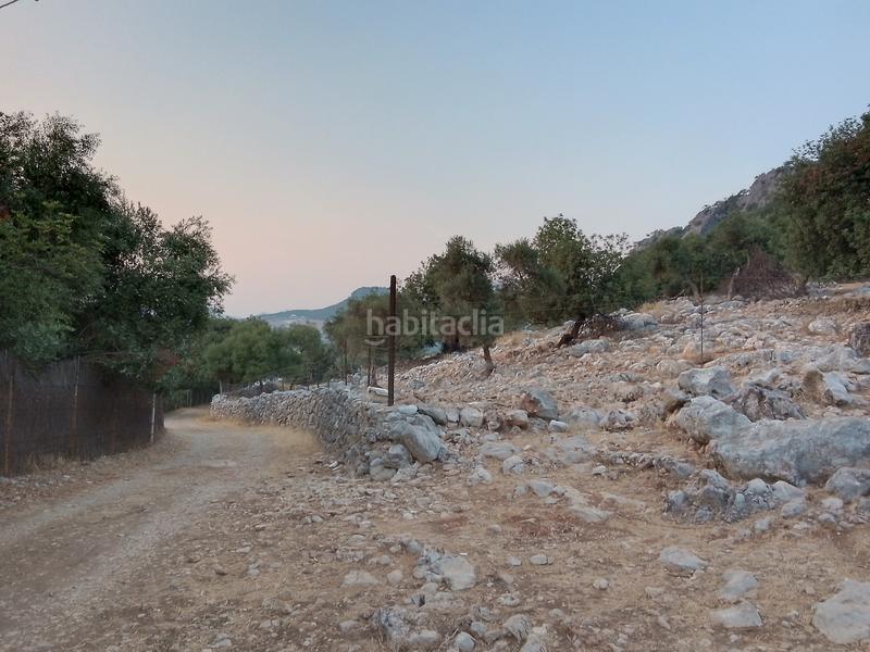 Foto bf01cf72-ada9-4539-baea-ef18e77e7935. Landgut in Ubrique