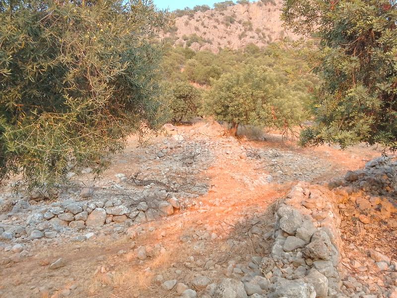 Foto c260894f-63c8-4a3f-bf98-12d1f9473546. Landgut in Ubrique