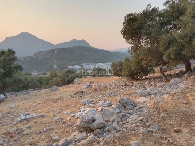 Foto c4c7be94-b1ea-4900-9ece-9cc28a3917a3. Landgut in Ubrique