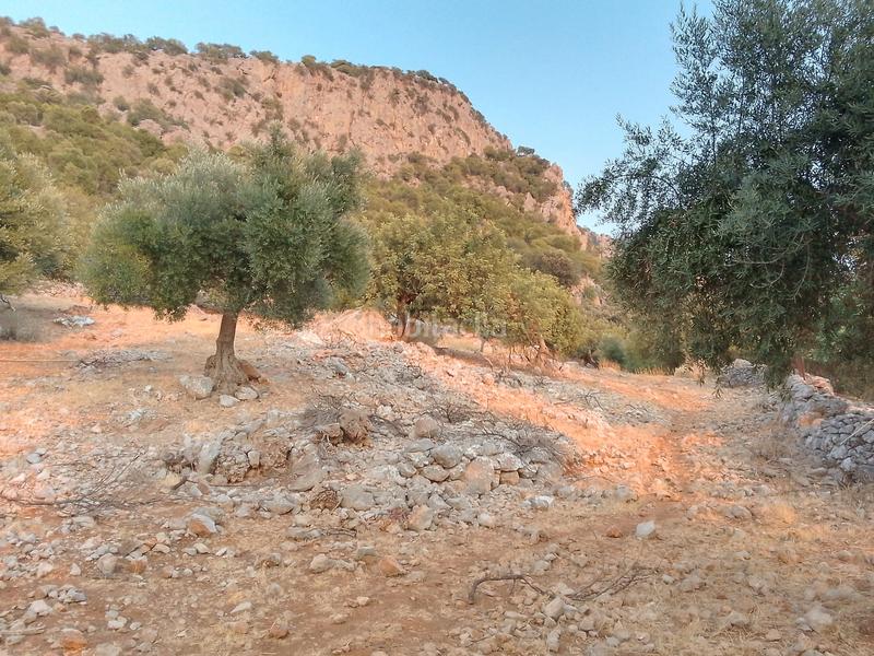 Foto c7aff473-bed1-4d1c-bb15-5c11579b7167. Landgut in Ubrique