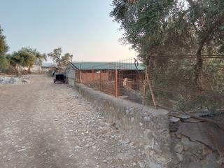 Rural plot in Ubrique. Finca rústica a menos de 1 km del pueblo con excelentes vistas