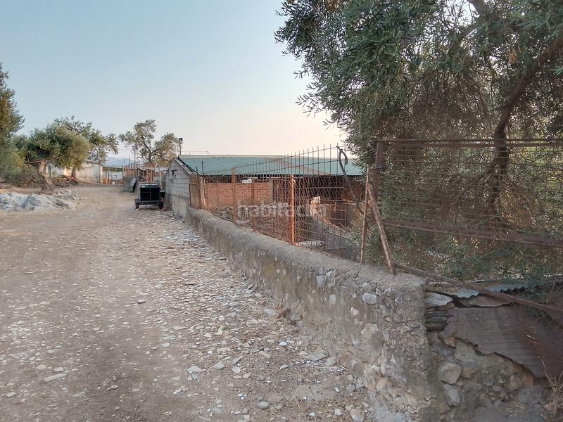 Foto da8351d6-c97b-4543-aacf-f8aaad2cafd6. Landgut in Ubrique