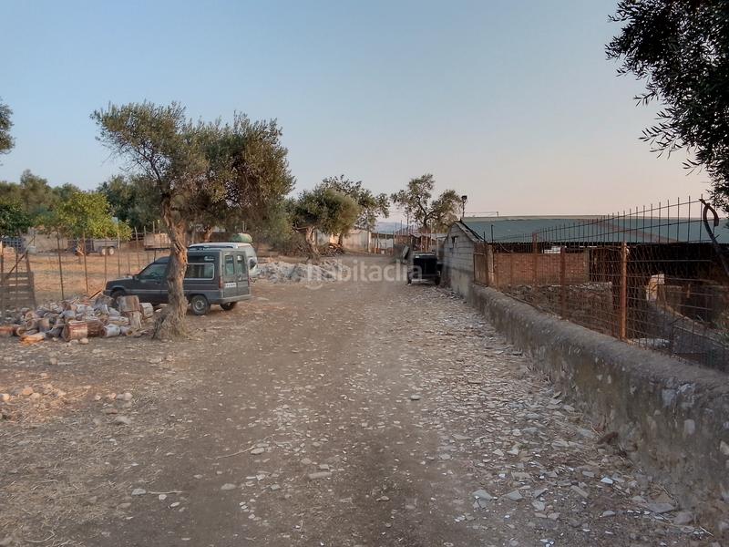 Foto e548d48f-d4a3-4190-867c-5b0e40ce49ae. Landgut in Ubrique