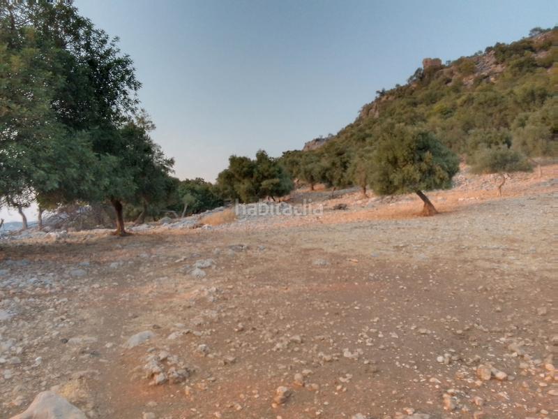 Foto f1885b26-66cc-4da3-a01a-561a67f2f57e. Landgut in Ubrique