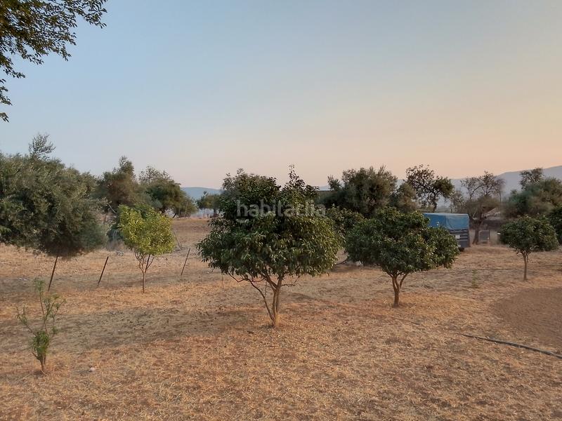 Foto f97927ca-7a43-4851-b3e1-bcbfbae56d33. Landgut in Ubrique