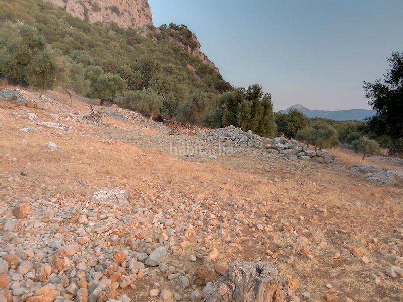 Foto fdd3a6fd-fab9-4972-9a3c-b47b80d49b12. Landgut in Ubrique