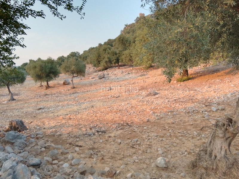 Foto fe3e18e2-8a5a-461e-ab73-6b2479913bbb. Landgut in Ubrique