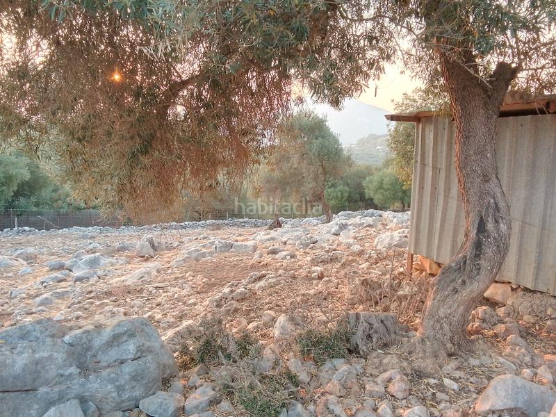 Foto fe8d3e47-207d-4698-99b0-af9062b2623d. Landgut in Ubrique