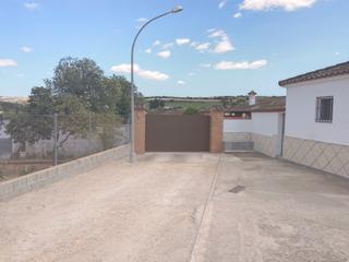 Chalet à Arcos de la Frontera. Chalet con piscina y terreno y finca de regadío