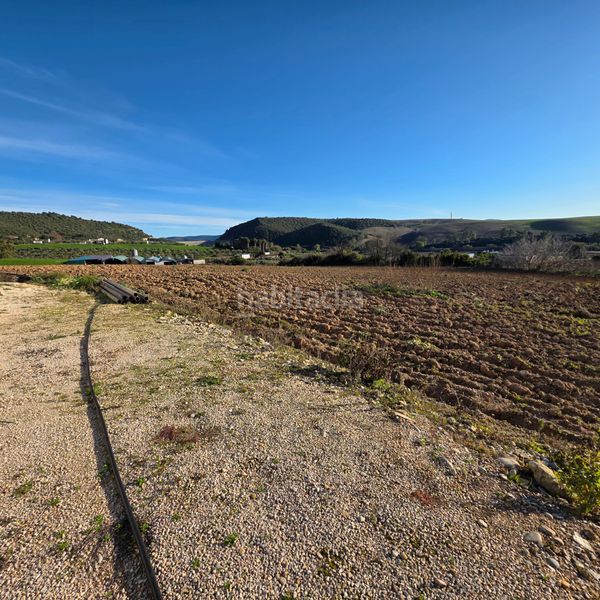 Foto 172dedae-1f07-4383-927d-1e6e73ac5de5. Finca rústica a Arcos de la Frontera