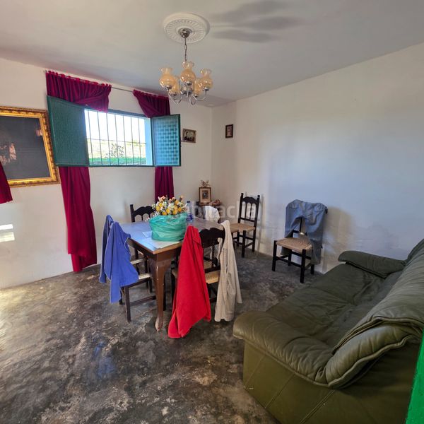 Foto 296fc526-bd66-45b6-87b6-4c9c3799858b. Finca rústica a Arcos de la Frontera