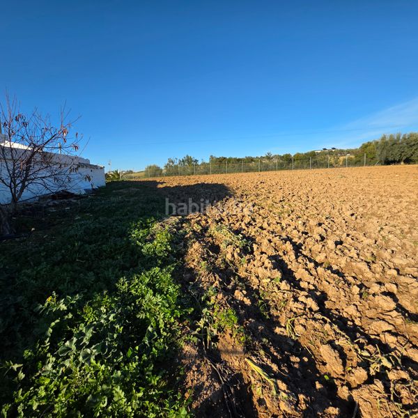 Foto 314e1766-26b6-4c50-8747-9a02e67ed71f. Finca rústica a Arcos de la Frontera