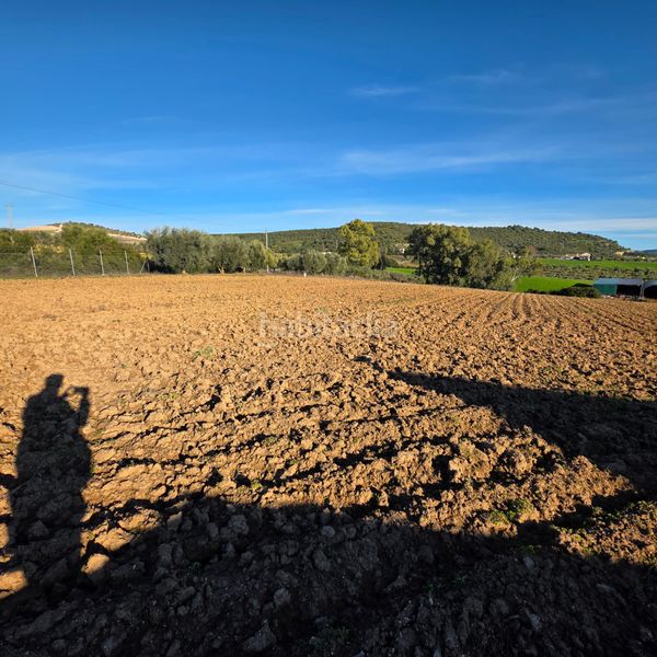 Foto 691b3acd-ad9e-4abb-a3e6-497a46aa987f. Finca rústica a Arcos de la Frontera