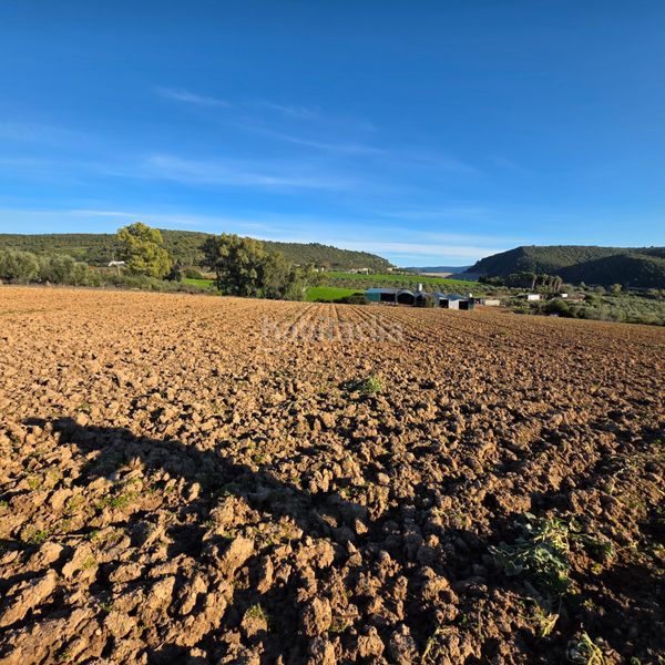 Foto 96df739c-82fb-4ec2-aed8-a31fb7880352. Finca rústica a Arcos de la Frontera