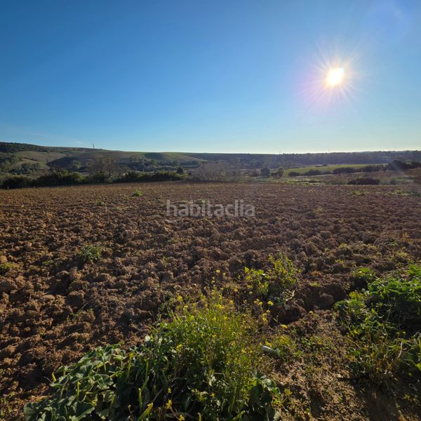 Foto bb68d082-7641-4397-9bda-d21cddd141a9. Finca rústica a Arcos de la Frontera