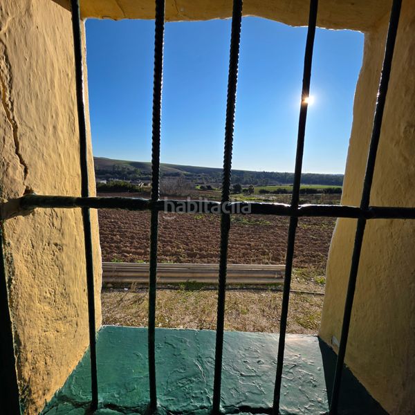 Foto c872e450-3582-4a58-a975-53b5225029dd. Finca rústica a Arcos de la Frontera