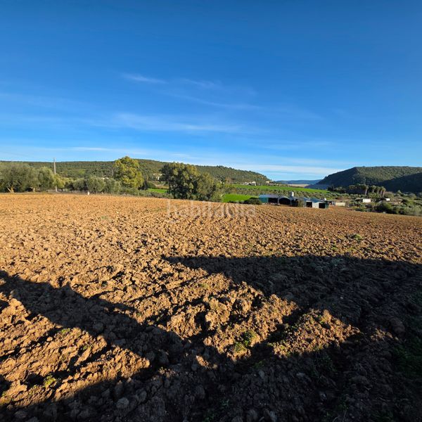 Foto ed2fe6d4-cee6-43bb-8ac0-2d46b9c6edd4. Finca rústica a Arcos de la Frontera