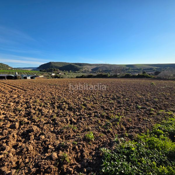 Foto fcfedc7d-1828-4674-a28b-b77e56108b95. Finca rústica a Arcos de la Frontera