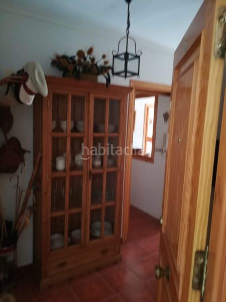 Foto aec63fa0-b161-4937-ba87-9582e82759ea. Apartament amb xemeneia a Grazalema