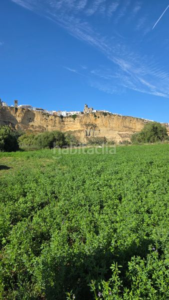 Foto 92285376-e3ab-4fcb-b19f-72e2163a13f1. Finca rústica a Arcos de la Frontera