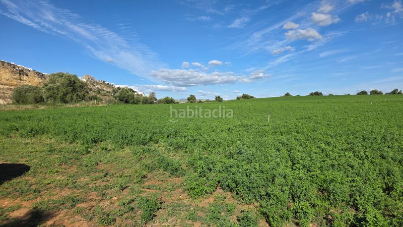Foto f93712a0-9a5b-4de5-9368-513bb694555a. Finca rústica a Arcos de la Frontera