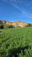 Landgut in Arcos de la Frontera. Parcela agricola en arcos de la frontera