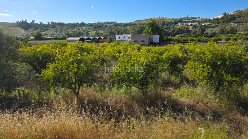 Foto 1e677a0c-2d05-49d2-98fe-b7d27755a270. Finca rústica a Arcos de la Frontera
