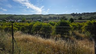Landgut in Arcos de la Frontera. Se vende parcela agricola en arcos de la frontera