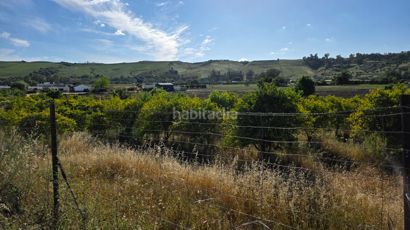 Foto 4b8aee3b-924e-4cb9-ab5c-56cbe3fe9f8d. Finca rústica a Arcos de la Frontera