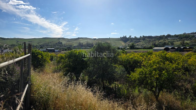 Foto f3c1b96c-b1b9-4a15-a28b-eba97c9f6485. Finca rústica a Arcos de la Frontera