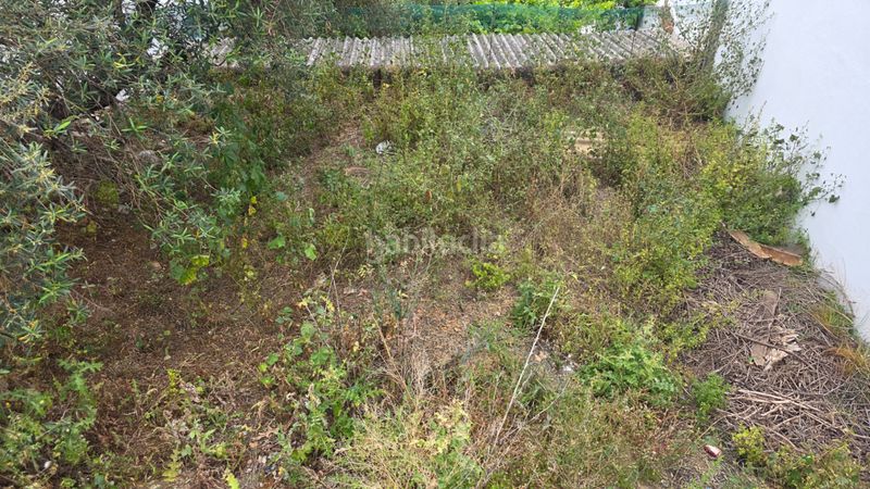 Foto 5bf64779-5e34-4d09-bab6-3674ace1d0db. Terreno residenziale in Grazalema