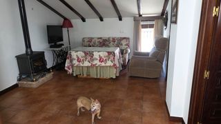 Miete Haus in Casco antiguo - Convento - Caldereto. Casa en alquiler en ubrique
