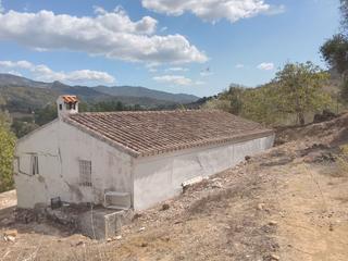 Finca rústica a Cortes de la Frontera. Parcela con servicios urbanos.