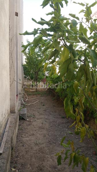 Foto 063fc089-047e-4279-a447-b1201de395c1. Local commercial dans Llatí Santa Coloma de Gramenet