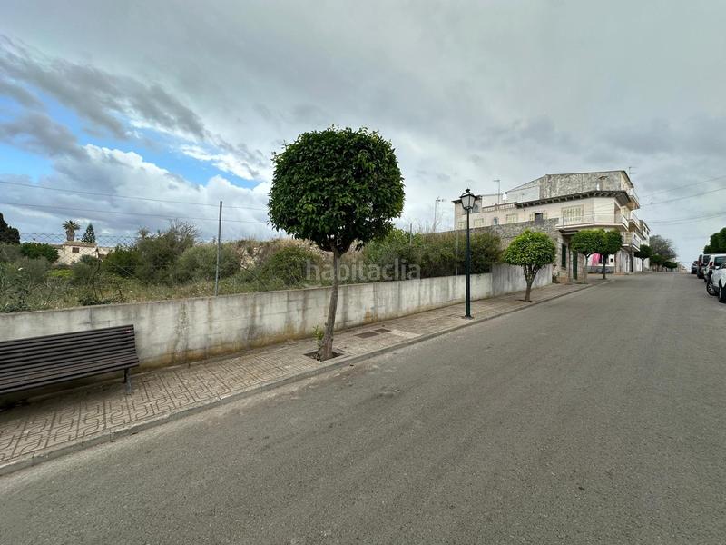 Foto 05ace8f6-1591-4e9f-a631-ef454611d662. Terrain résidentiel dans Santa Margalida poble Santa Margalida