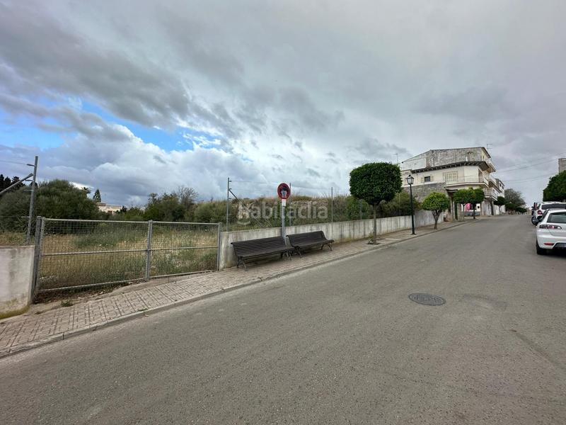 Foto 82656982-bb59-4179-a901-1e9f3377ca7a. Terrain résidentiel dans Santa Margalida poble Santa Margalida