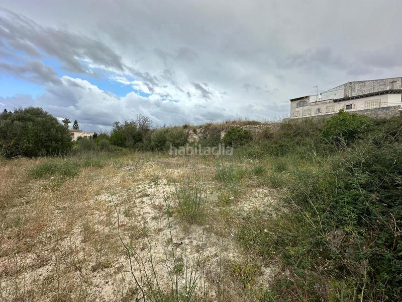 Foto fdc6d526-435d-4679-b985-4ad97bbf3d2a. Terrain résidentiel dans Santa Margalida poble Santa Margalida