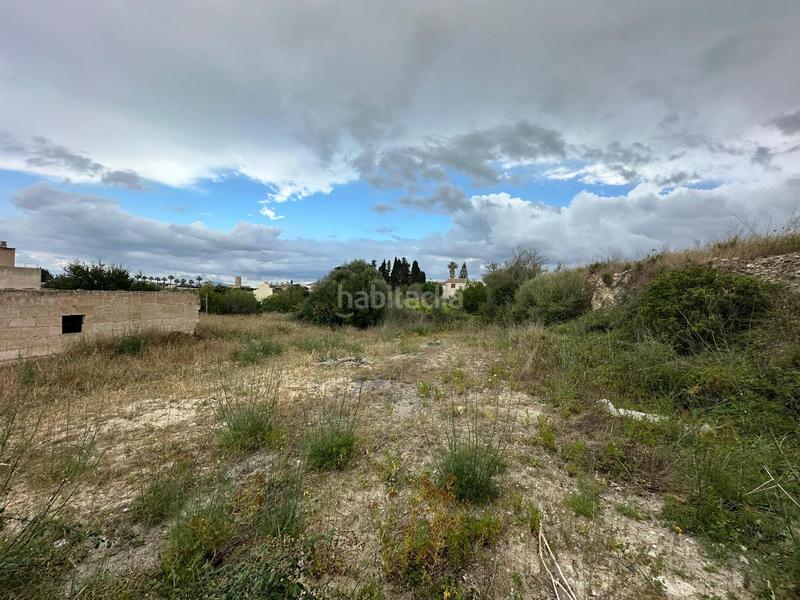 Foto ff9af2d8-655d-4398-ba5f-82c844f3fcdf. Terrain résidentiel dans Santa Margalida poble Santa Margalida