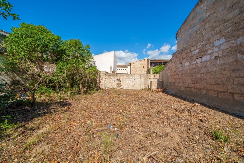 Foto 683955cf-9f7a-482d-974f-cc8cddf596c2. Casa aparellada a Sa Pobla