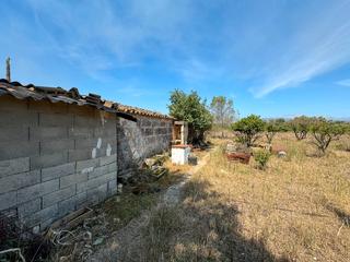 Mas à Diseminado diseminados var 5. Finca rústica entre muro y llubi